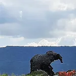 Casa Kia - Pet Friendly * Valledoria (Sardinia)