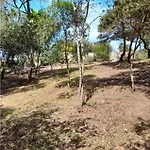 Casa Kia - Pet Friendly * Valledoria (Sardinia)